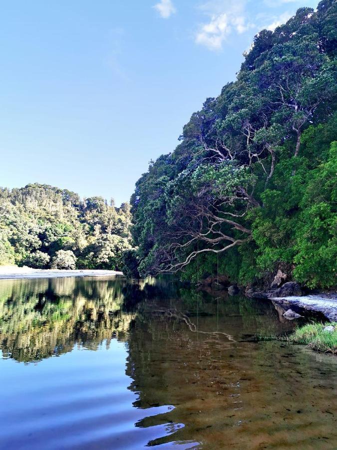 Avocate' Cottage Whiritoa Dış mekan fotoğraf